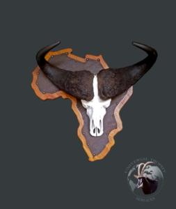 Euro Shield - Buffalo (Africa shield with leather backdrop)
